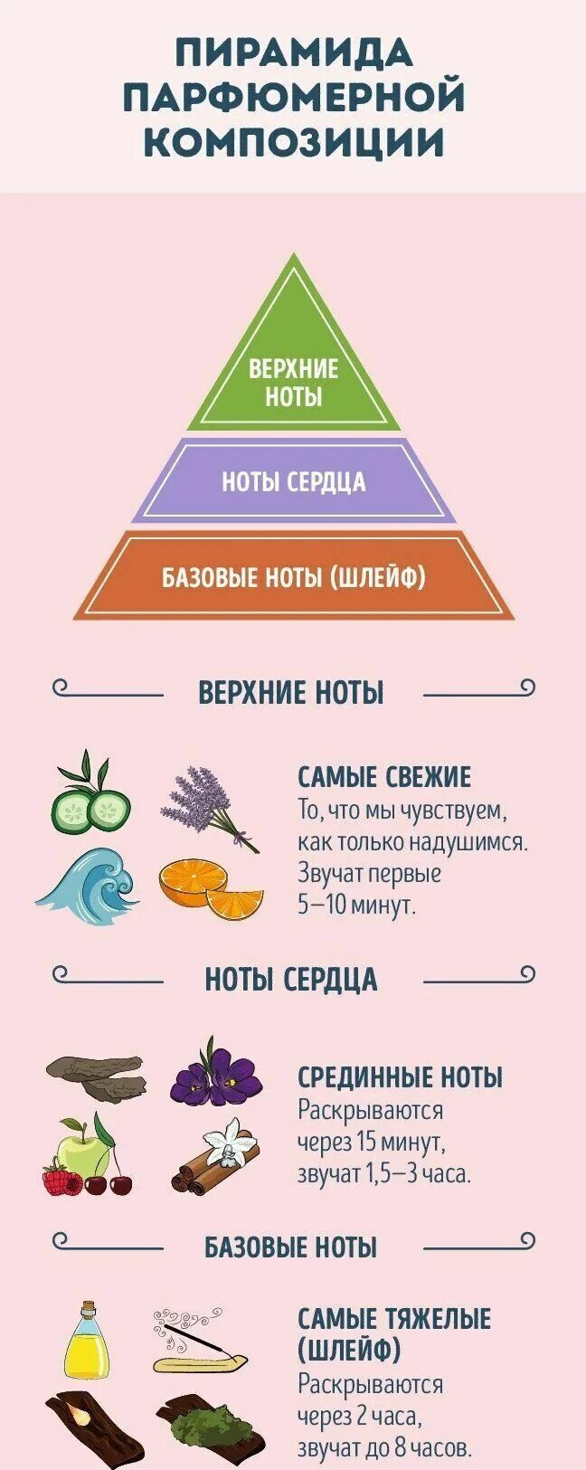 Верхние средние и базовые ноты аромата. Базовые ноты в парфюмерии. ноты сердца в парфюмерии. базовый ноты духов. пирамида нот в парфюмерии.