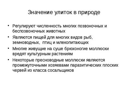 Значение брюхоногих моллюсков в жизни человека