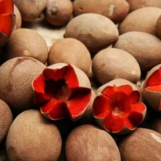 Cane fruit