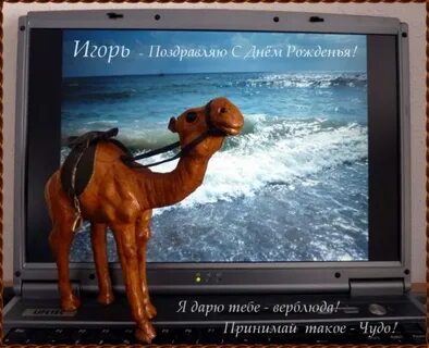 Поздравление с днем рождения игорю прикольные смешные