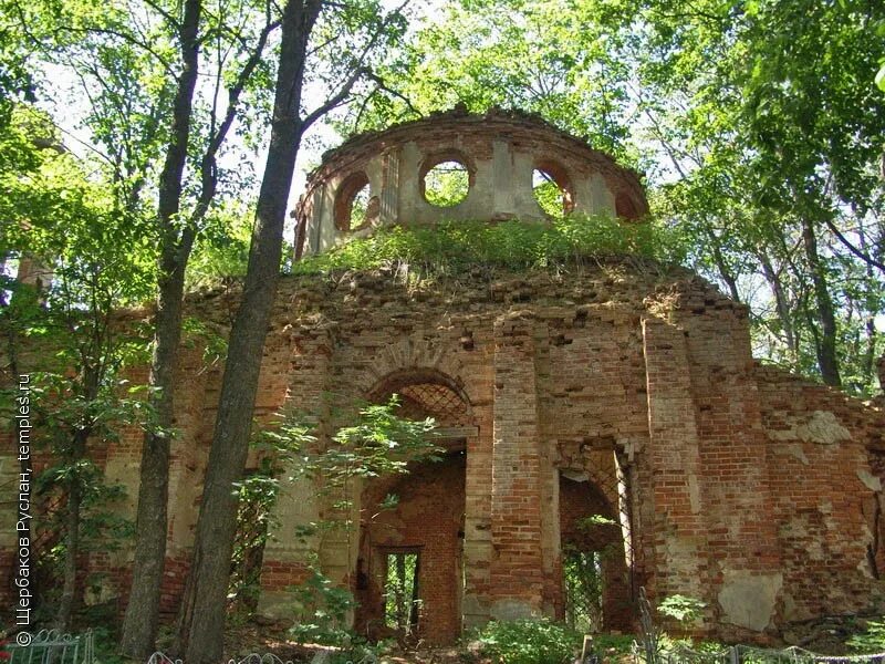 Псковская область деревня выбор. Руины церкви псков. Выбор новоржевский район псковской области. Псковская обл новоржевский район деревня выбор. Псковская область деревня выбор.