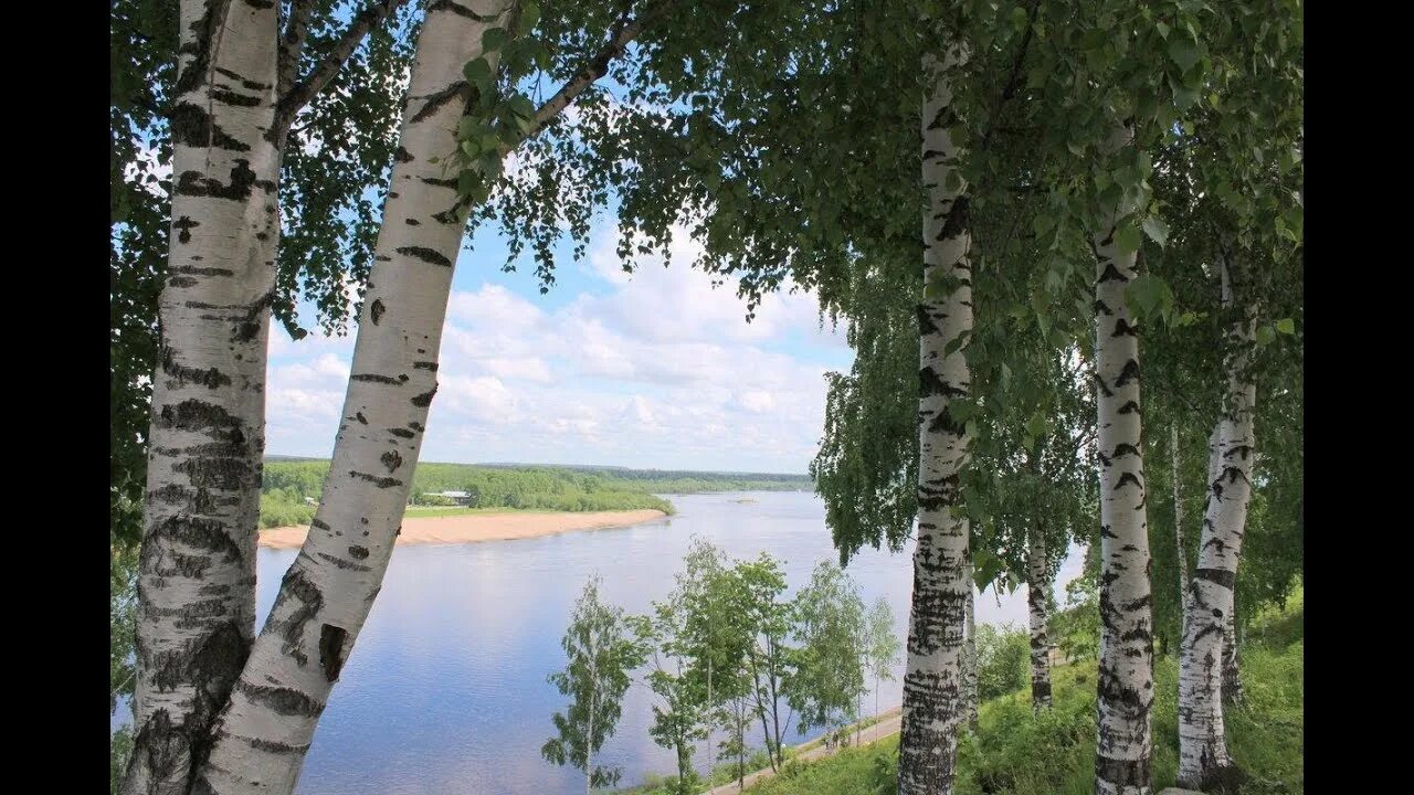 Песня над рекой над лесом рос кудрявый клен. Слушать над речкой рос кудрявый клен. Песня про березу. Слушать над речкой рос кудрявый клен. У тихони речки рос кудрявый клен,.