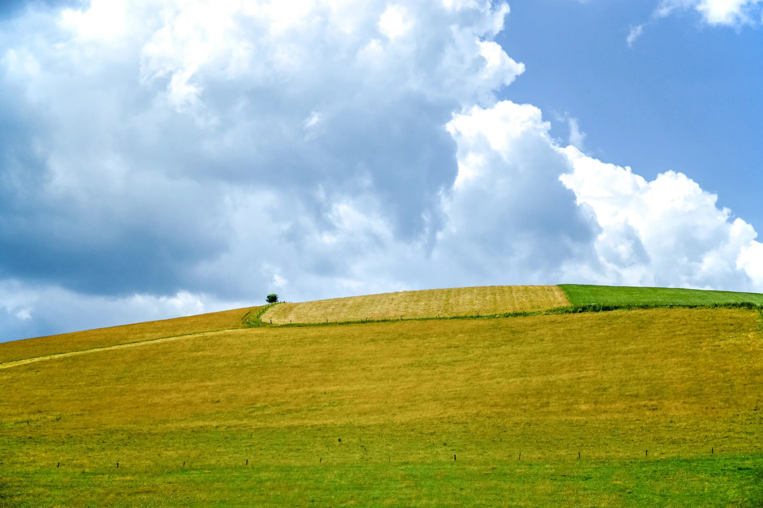 Picture land