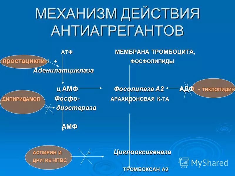 Схема механизма действия антиагрегантных средств. Механизм действия антиагрегантов. Механизм действия антиагрегантов схема. Механизм действия антиагрегантов фармакология схема. Механизм действия аспирина