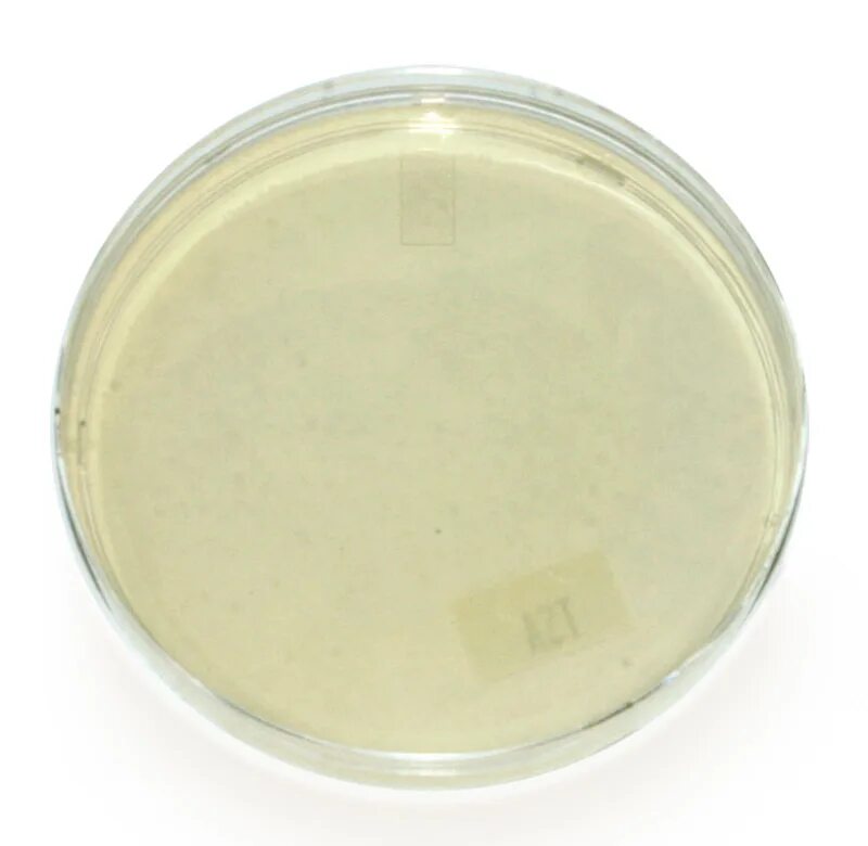 Среда мпа. Питательные среды для кмафанм. Среда мпа. Основные питательные среды мпа мпб. Состояния питательных сред гисса.