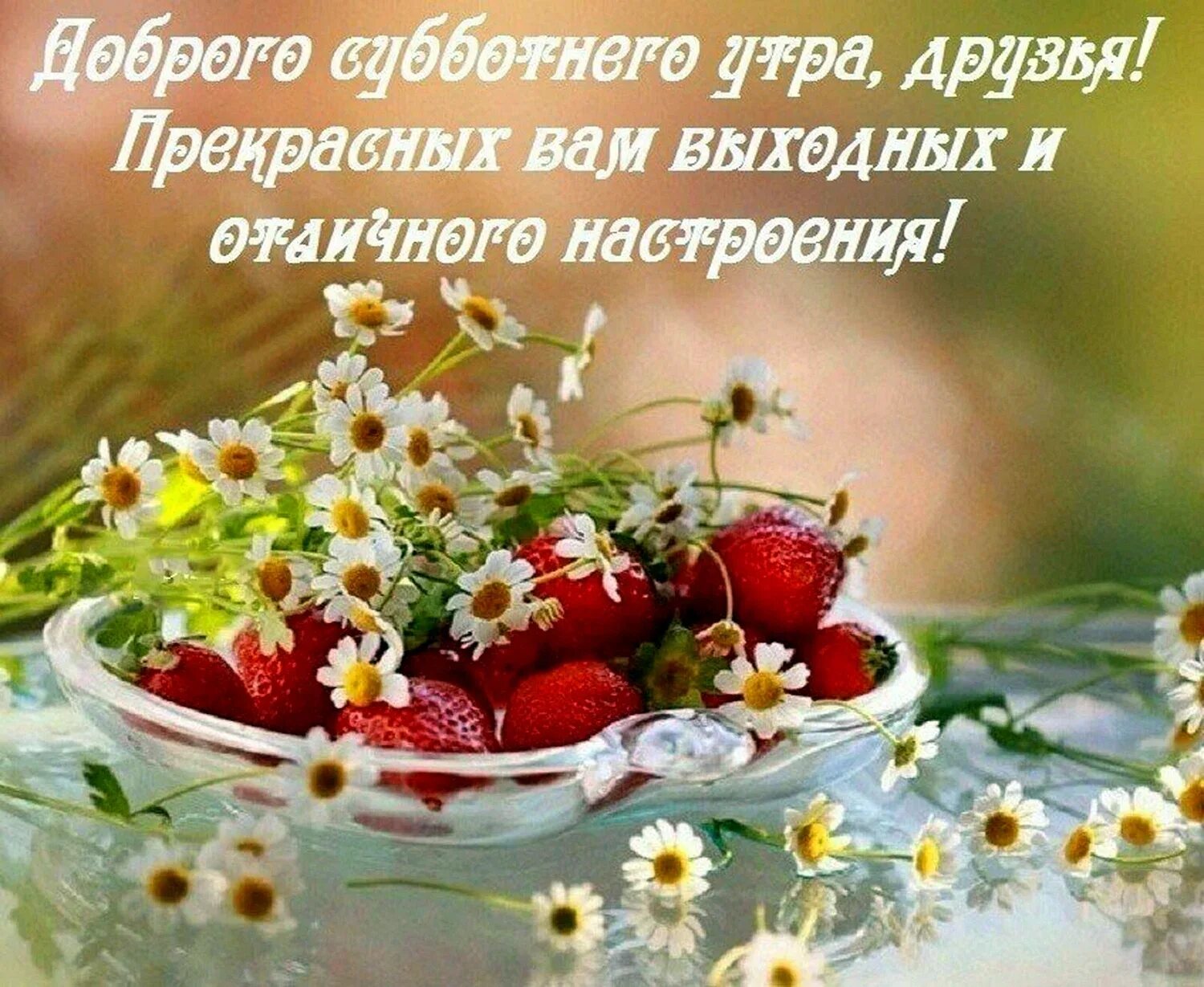 Доброго утра хорошего дня и отличного настроения