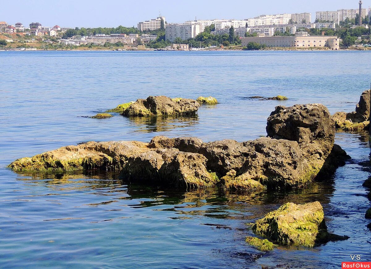 бч4 севастополь лиман. инженерная бухта севастополь. севастополь, площадь суворова, бухта южная 205 отряд. рейд севастопольской бухты. севастополь бухта новости.