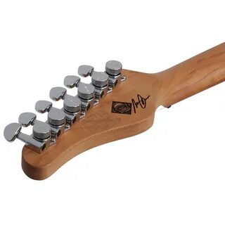 Schecter nick