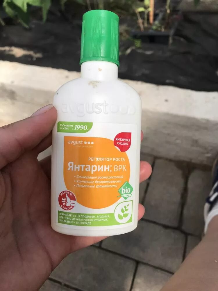 Янтарная кислота для растений комнатных цветов. Жидкая янтарная кислота янтарин. янтарин для комнатных цветов. жидкая янтарная кислота для комнатных растений. янтарная кислота жидкая для растений.