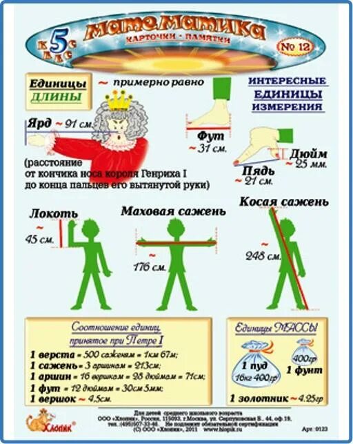 Площадь человека примерно равна. Площадь человека примерно равна