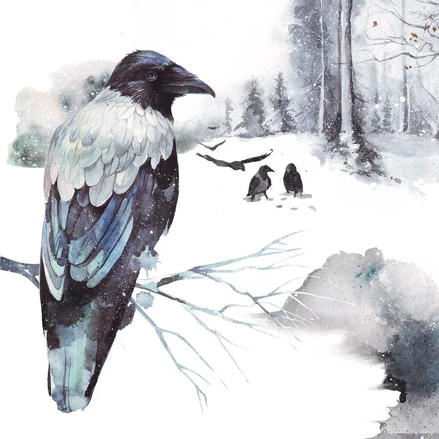 Where winter crows go