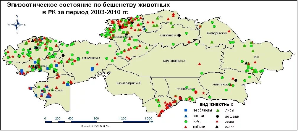 Эпизоотии животных. Бешенство районы распространения. Бешенство распространение в России. Распространенность бешенства. Эпизоотическая ситуация по бешенству.