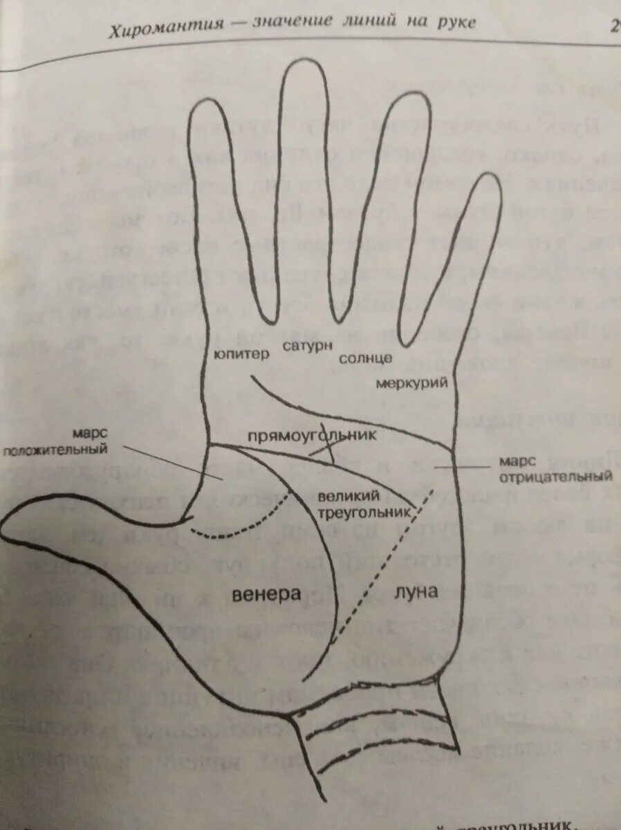 Хиромантия по руке значение. Холм Сатурна хиромантия. Холм Лакомки хиромантия. Рука Лакомки хиромантия. Холмы на ладони хиромантия.