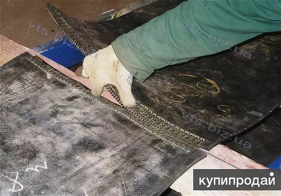 Стыковка лент. Стыковка конвейерных лент. сшивка ленты транспортерной сыромятиной. мех соединение конвейерной ленты. механическое соединение конвейерных лент.