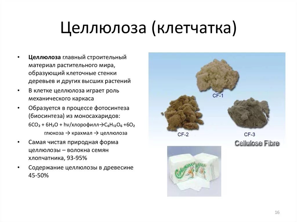 Целлюлоза волокнистая структура. Целлюлоза роль в растении. Биологическая роль целлюлозы. Целлюлоза строительный материал.