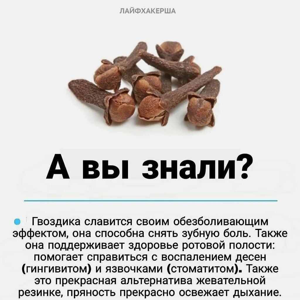 Вред гвоздики для мужчин польза