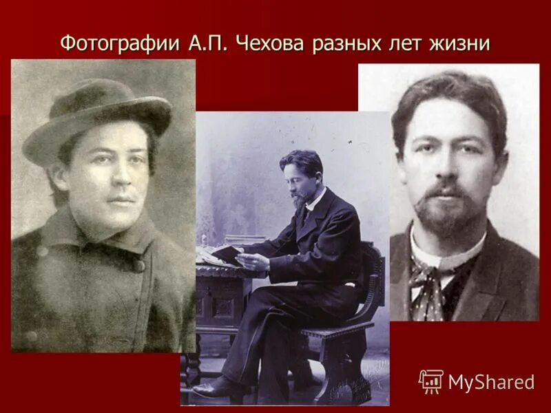 антон павлович чехов медицинский университет. чехова. а. чехов антон павлович последние годы в ялте. мхат станиславский чехов.