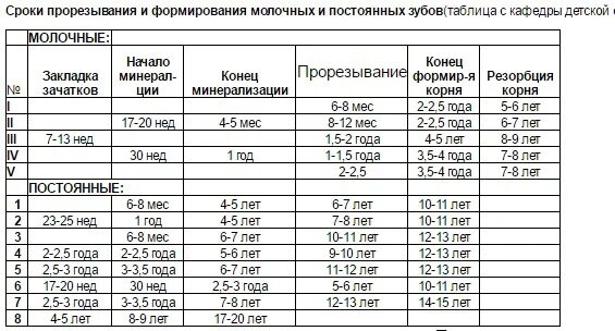 Поступление пищи в пищеварительный тракт.