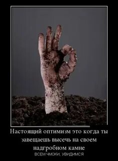 Прикольный оптимист