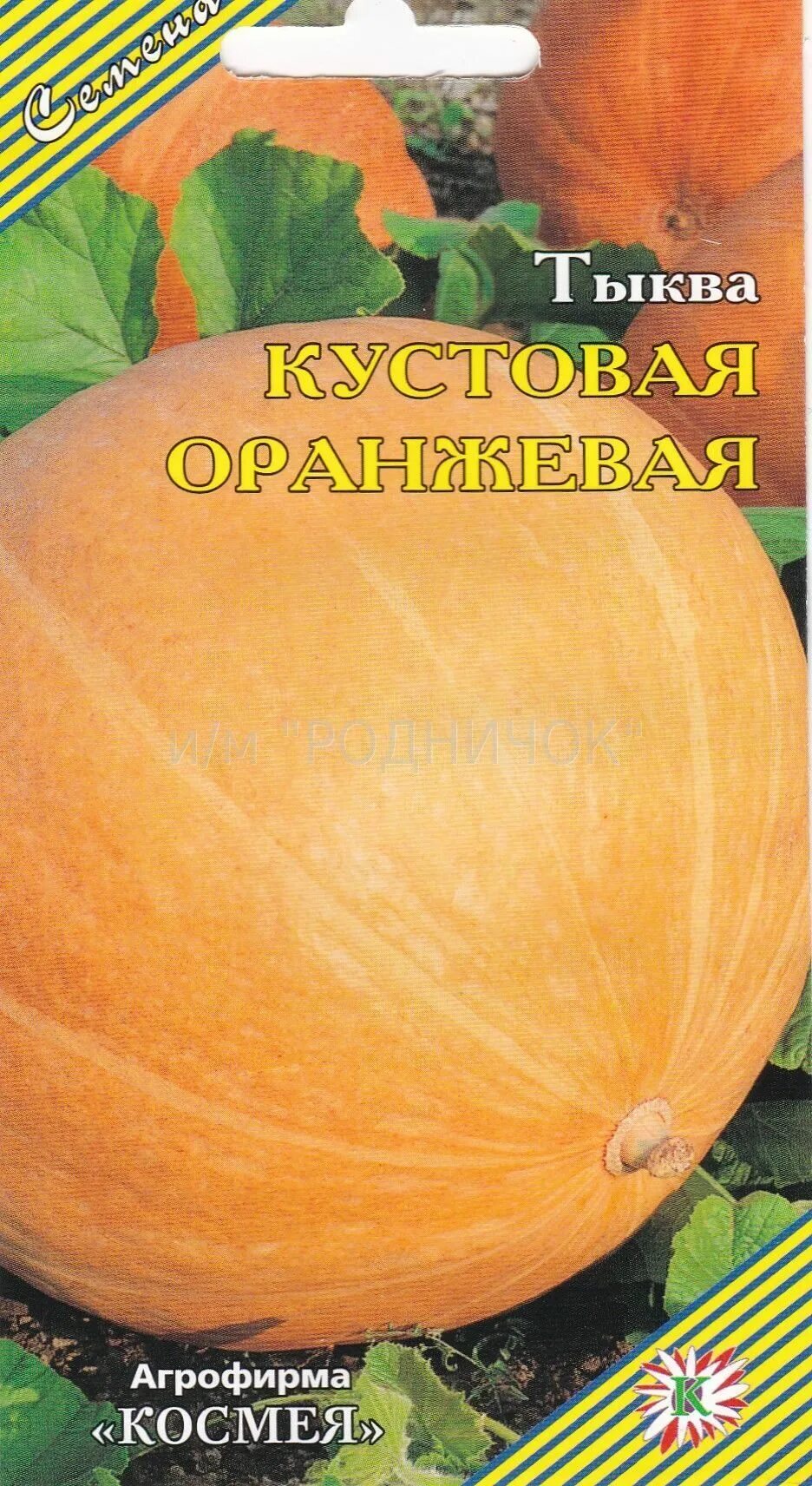 Кустовая тыква фото описание Тыква жемчужина описание сорта