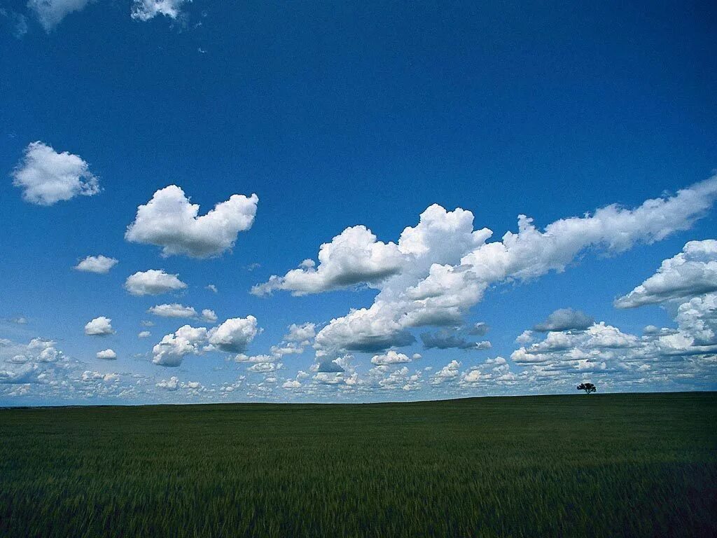 описание видов облаков. рассказать про небо. рассказ о небе. рассказ о красоте неба 2 класс окружающий мир. удивительная красота неба 2 класс.