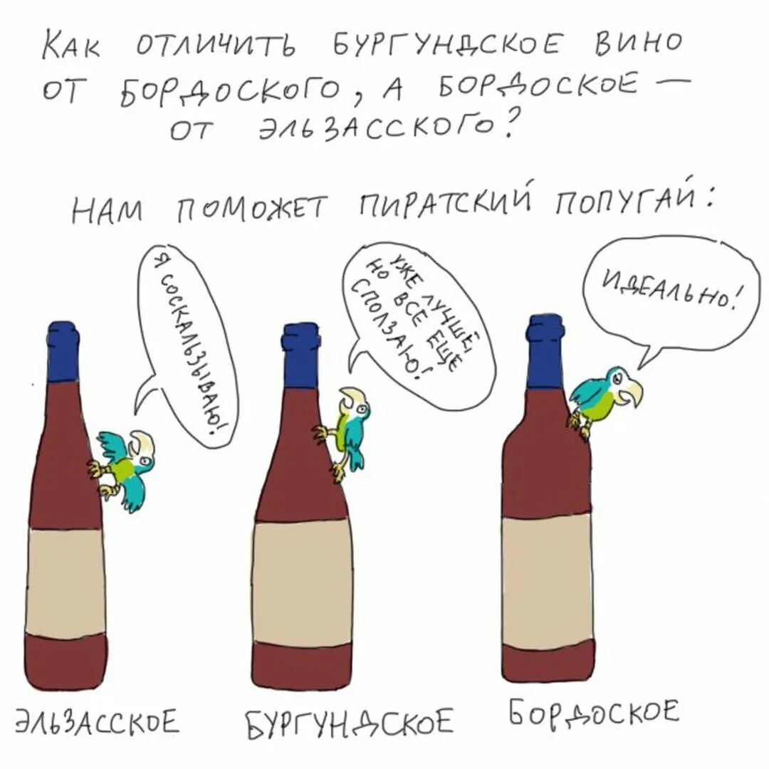 У тебя есть вина