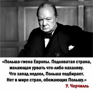 Афоризм поляки