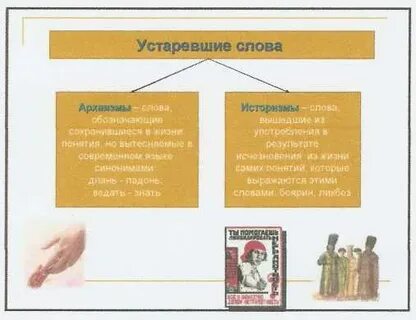Чем отличаются историзмы от архаизмов примеры