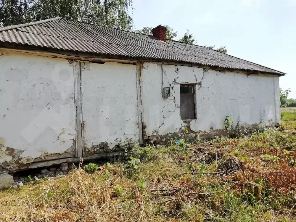 Роговатое белгородская область. Лавровка тамбовская обл мордовский р-н. С кужное мордовского р-на тамбовской обл. Ильменовка. Кужное тамбовская область церковь сейчас.