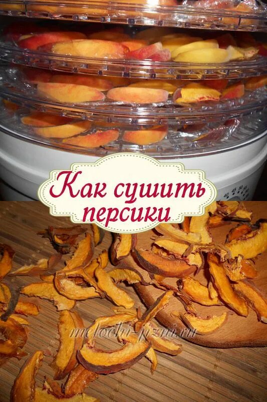 Сушат ли персики. Персики в сушилке для фруктов. персики сушеные в электросушилке. сушка персиков в электросушилке. сушеные персики в сушилке.