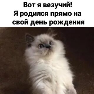 Да это рождения
