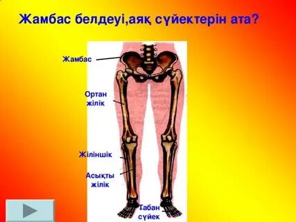 Мини бикини порно