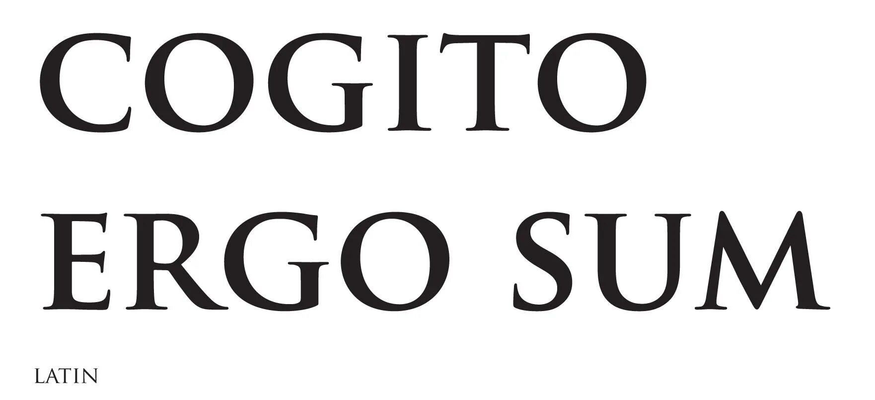 Эрго сум. Cogito Ergo sum. Рене Декарт Когито Эрго сум. Cogito Ergo sum картинки. Принцип Когито.