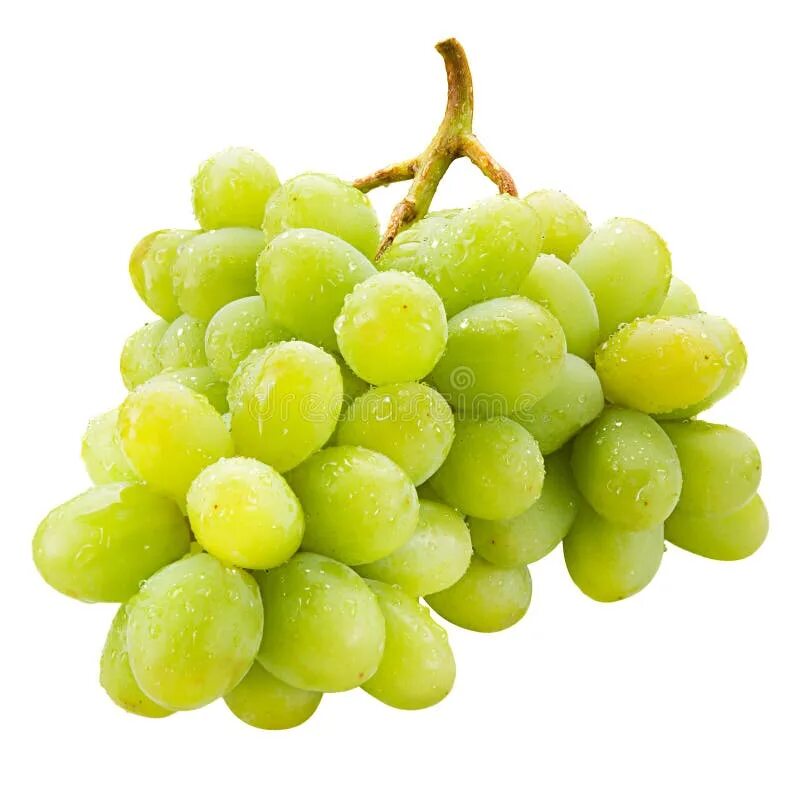 Grape 2