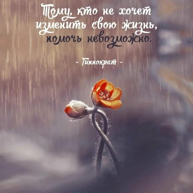 Цитаты о жизни со смыслом. Красивые цитаты. Красивые изречения о жизни. Красивые высказывания о жизни. Красивые фразы.