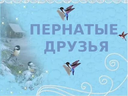 Пернатые друзья