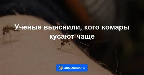 Почему кого то комары кусают больше