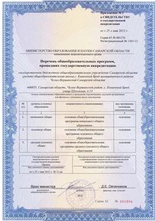 Свидетельство о государственной аккредитации с приложением
