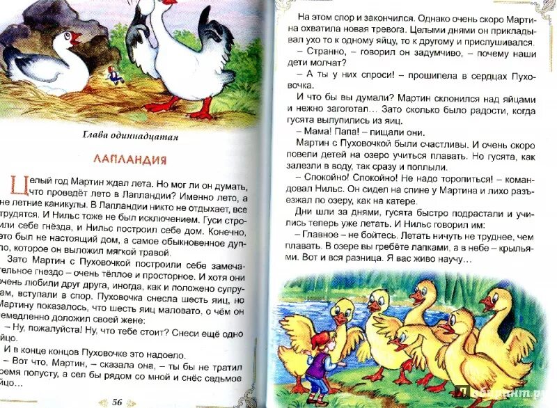 Краткое содержание нильса с дикими. Странствие Нильса с дикими гусями путь следования. Сколько гусят прибавилось в стае за лето в сказке про Нильса. Сочинение о Нильсе. Сколько было гусей в стае в сказке про Нильса.