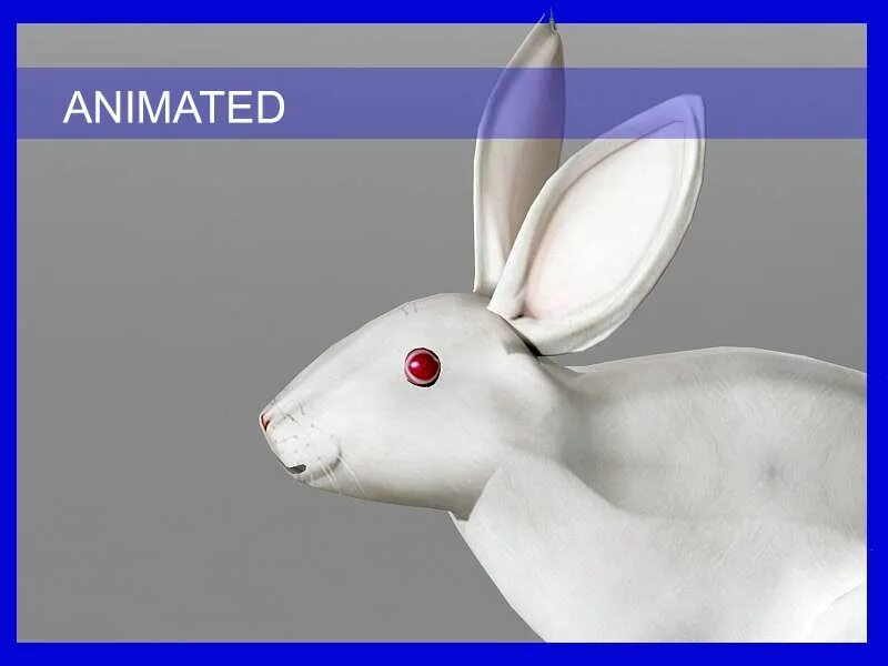 Rabbit 3 карты. 3д модель кролика для 3д принтера. Игра rabbit carrot. Bobby rabbit игра. Донни дарко фрэнк.