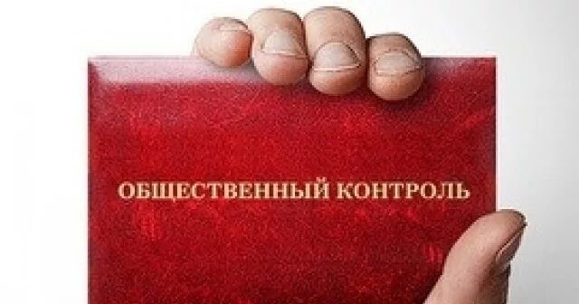 Общественный контроль в действии. Общественный контроль логотип. Общественный контроль рисунок. Общественный контроль над властью. Общественный надзор картинки.