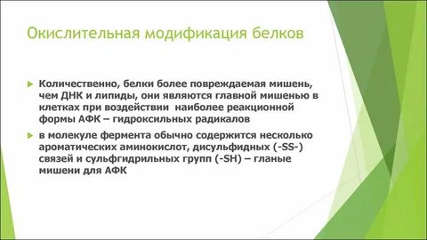 Отвечает за модификацию белков