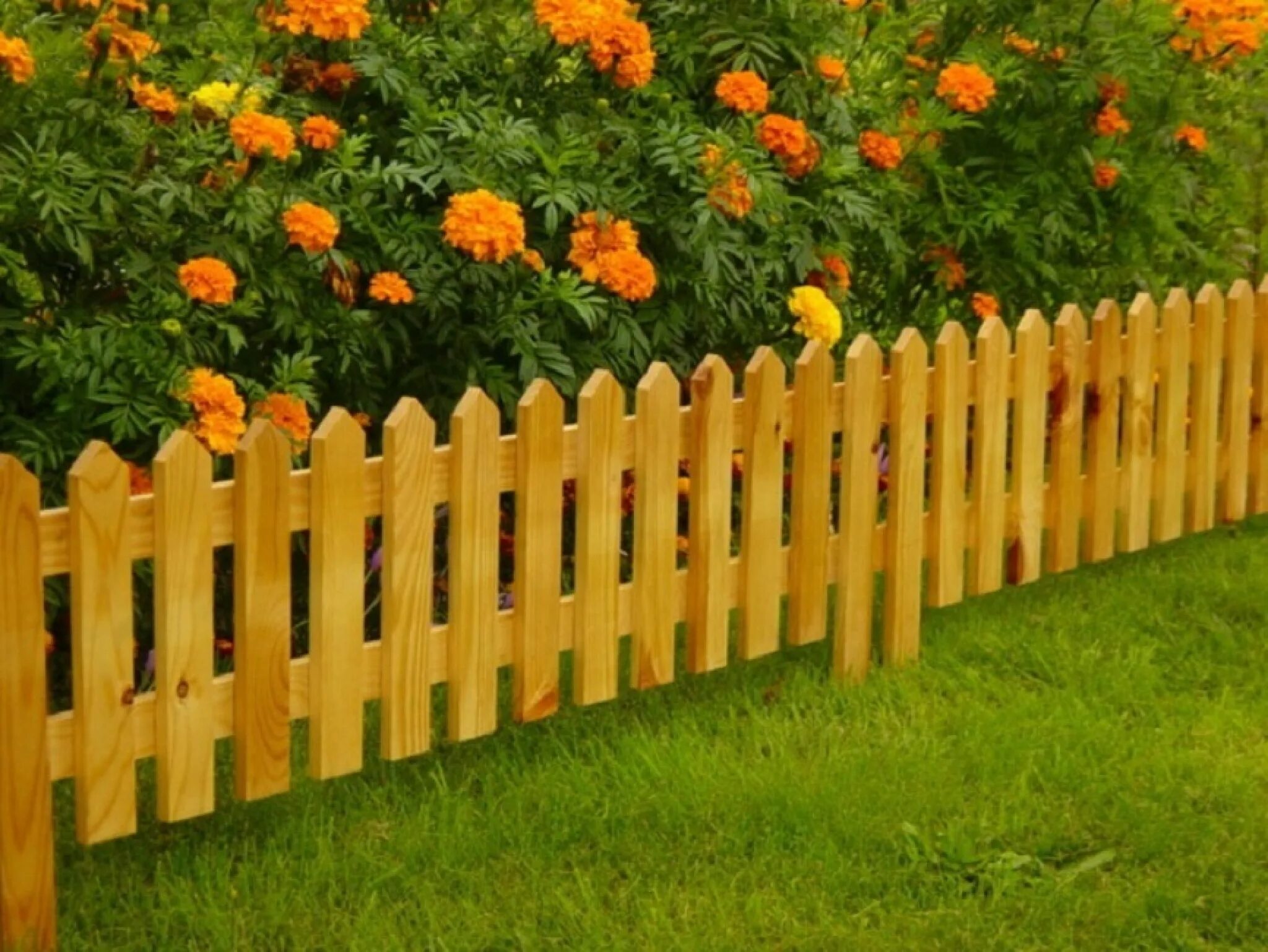 Fenced garden. Fenced garden. Fenced garden. Красивый деревянный забор. Заборчик для клумбы из дерева.