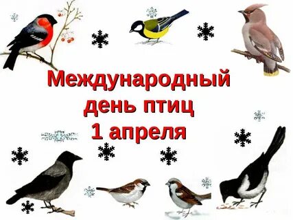 1 апреля праздник птиц в детском саду