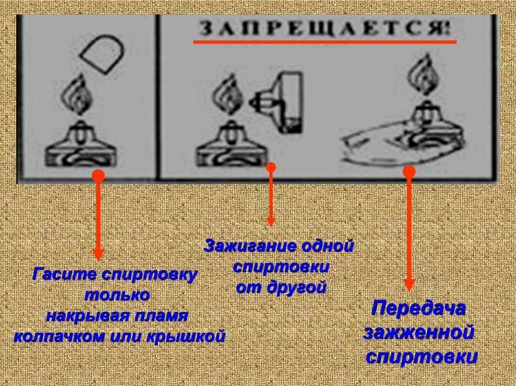 Спиртовка зажженная. Спиртовку можно зажигать от другой спиртовки. Гашение пламени спиртовки. Спиртовка рисунок. Спиртовку можно зажигать от другой спиртовки.
