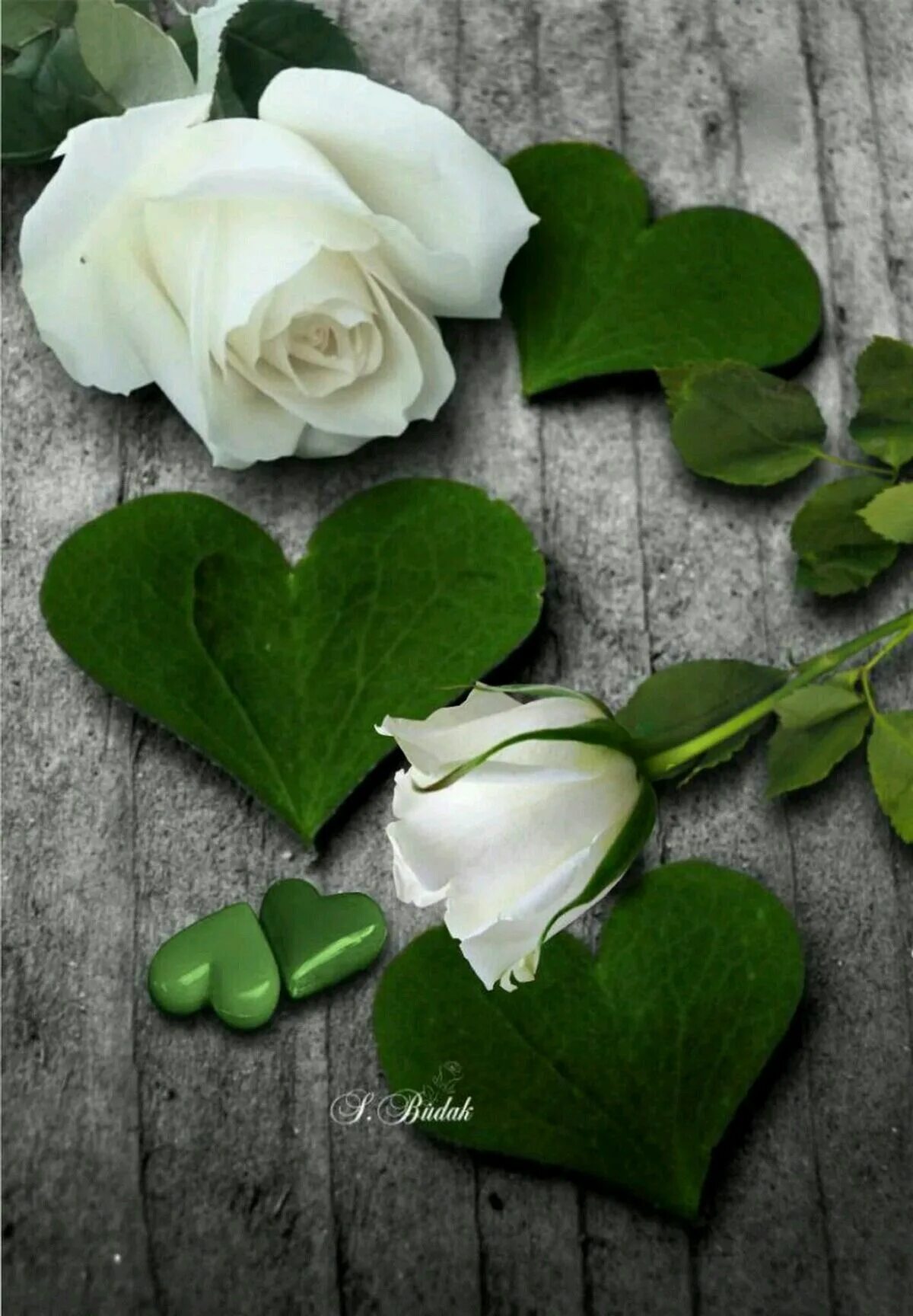 Цветы сердце. "Цветы любви". Романтические цветы. Белые цветы.