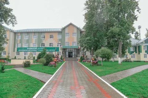 Техникум г лесной
