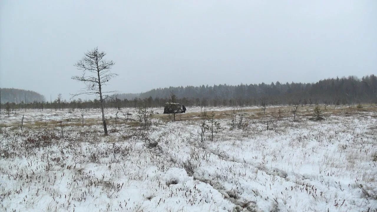 Святое болото. Святое болото и Николо-остров. Святое болото и Николо-остров деревни вокруг.