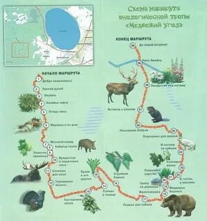 Медвежий угол карта