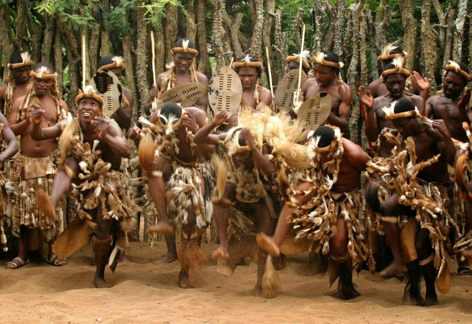 Zulu tribe. Племя Зулу в Африке. ЮАР Зулусы. Ритуальные танцы племен Африки. Племя мумба-юмба.